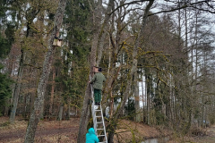 IMG_20260221_103907827_HDR-Mittel