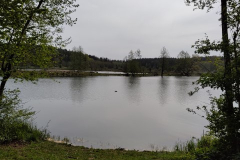 7-Klein