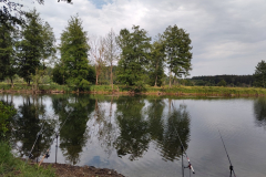 Bild6
